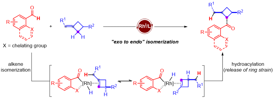 3E6E