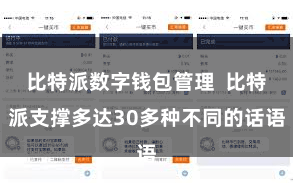 比特派数字钱包管理  比特派支撑多达30多种不同的话语