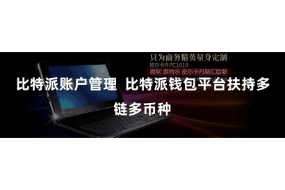 比特派账户管理  比特派钱包平台扶持多链多币种