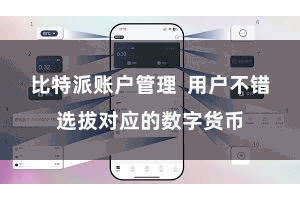 比特派账户管理  用户不错选拔对应的数字货币