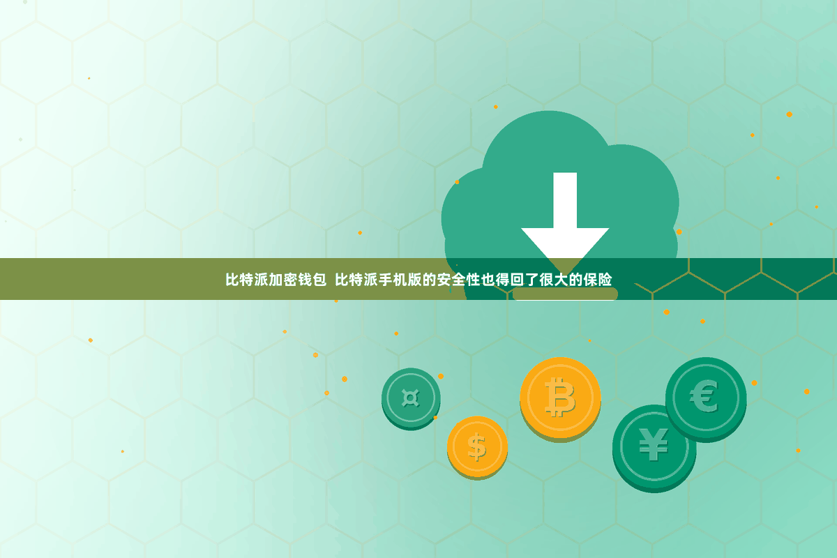 比特派加密钱包  比特派手机版的安全性也得回了很大的保险